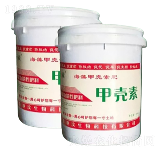 ����ך��ط�-�ؾ�����