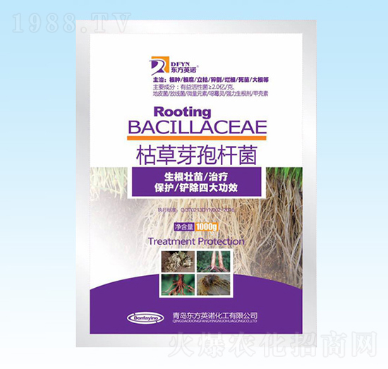 1000g枯草芽孢桿菌-東方英諾