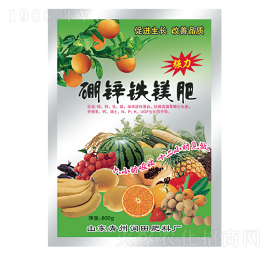 ���\�F�V��-�������