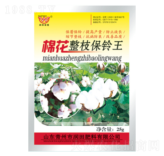 �޻���֦�����-�������