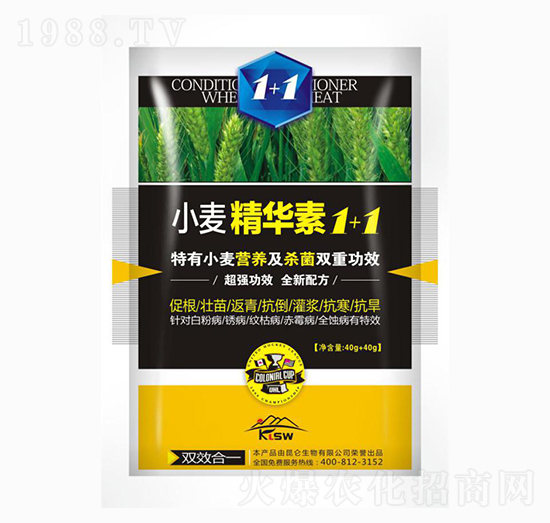 С�����A��1+1-��(��i)���_(d��)