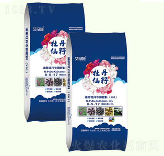 ����ĵ����(zhu��n)��8-5-17-ĵ������-������S