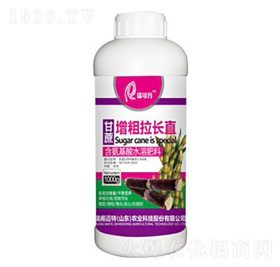 �����������L(zh��ng)ֱ-��ɵ�-���w�~��