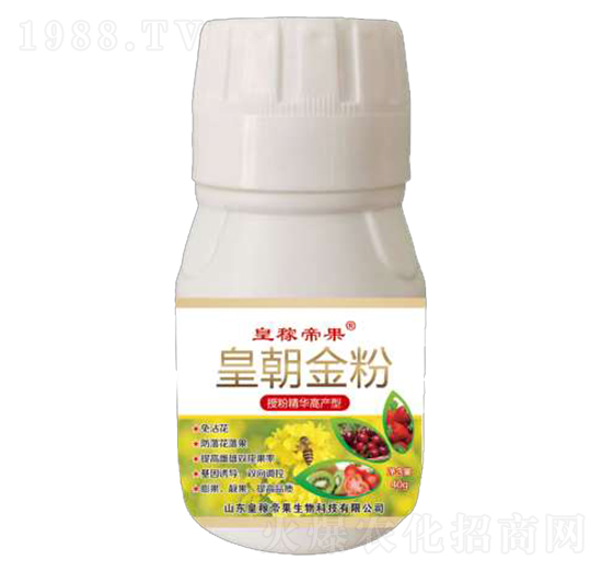 �ʳ����-�ʼڵ۹�