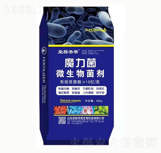 ΢�������-ħ����-�ʼڵ۹�