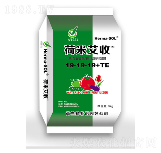 �ߝ�ȏͺϷ���19-19-19+TE-���װ���-�ƺ�