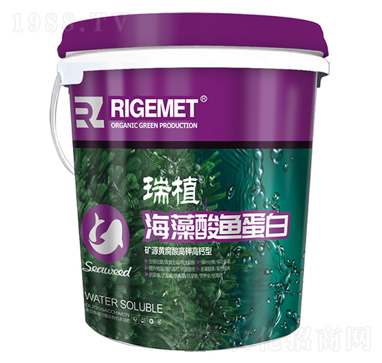 �������~����-��ֲ-���w�~��