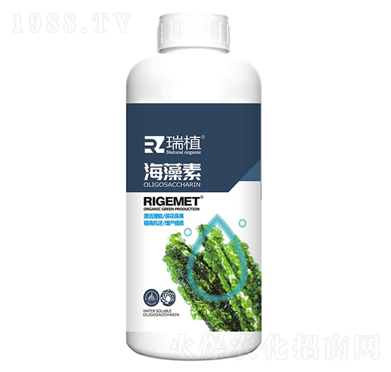 ������-��ֲ-���w�~��