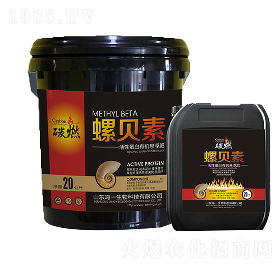 ̼ȼ����ؐ��-�Qһ