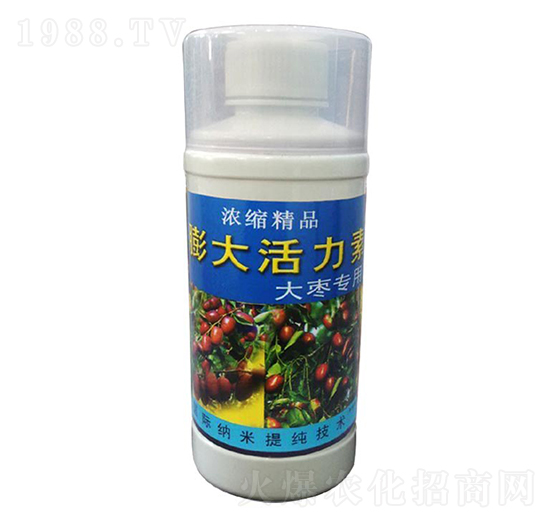 �󗗌���-��������-��ɽ̩�S