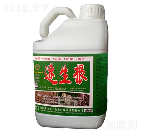 ������-��ɽ̩�S