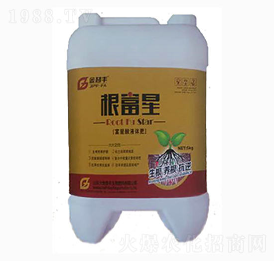 ������Һ�w��-�����S