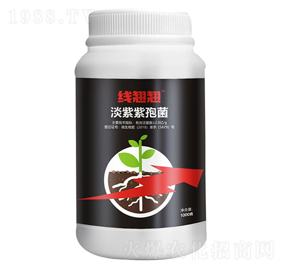 �������߾�-��(xi��n)�N�N-��(��i)���_(d��)