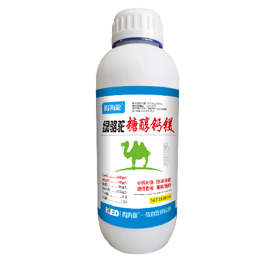 �G���Ǵ��}�V-�ú���-������