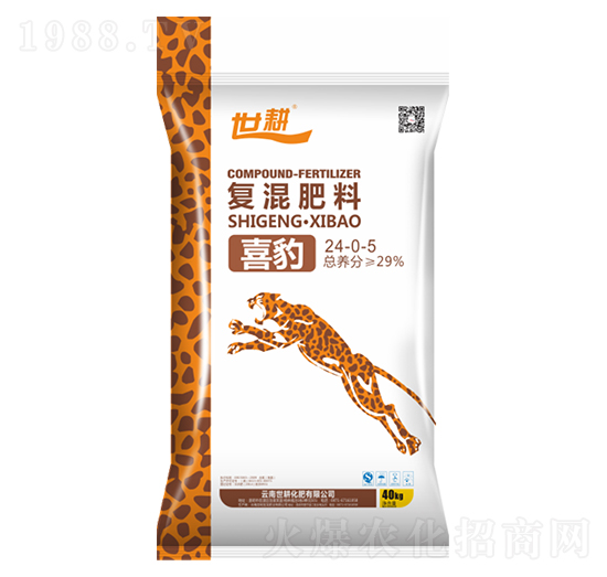 ϲ����(f��)�����24-0-5-����