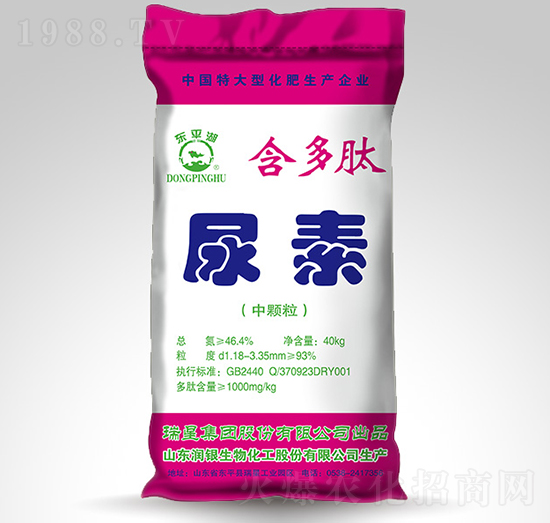 ����������-�|ƽ��-����