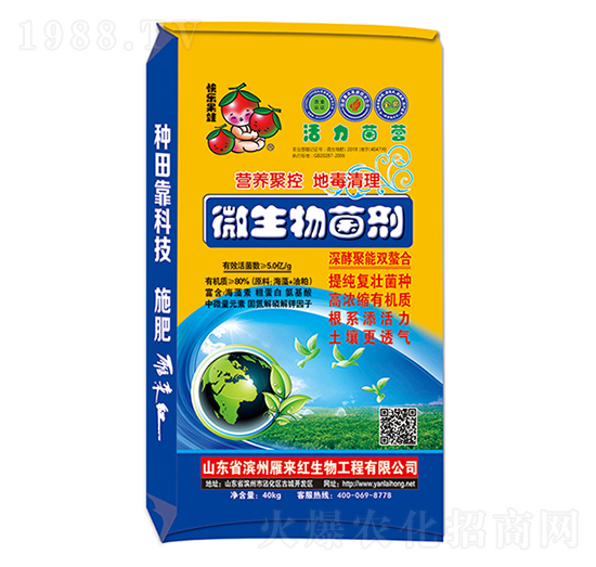 5�|΢�������-�������I(y��ng)-���(l��i)�t