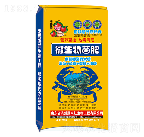 ΢�������-���(l��i)�t