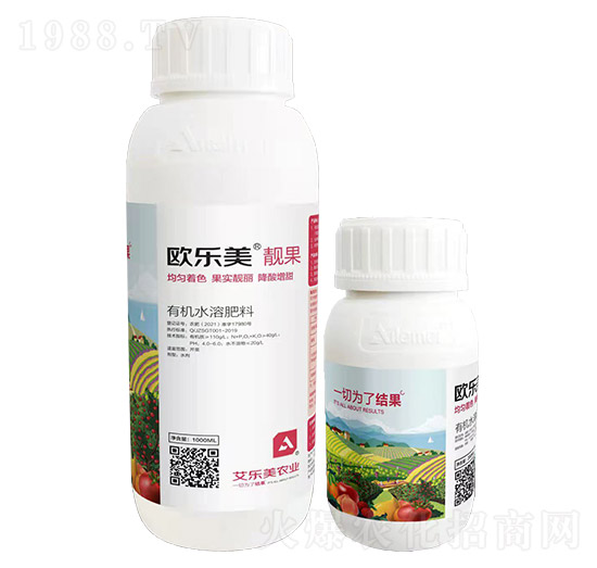 �W����-�n��-������