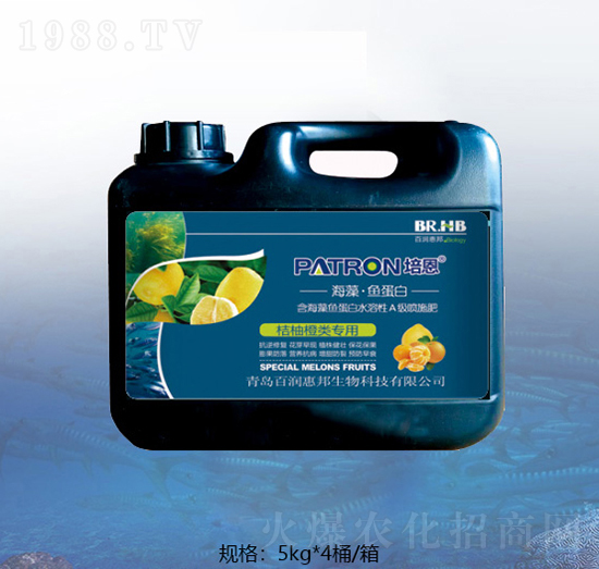 ������ٺ����~����-�ٝ��ݰ�