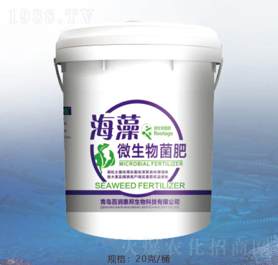 ����΢�������-�ٝ��ݰ�