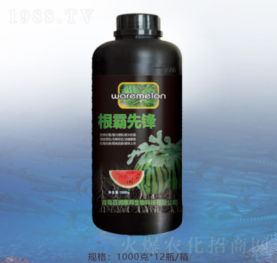 �������h-�ٝ�(r��n)�ݰ�