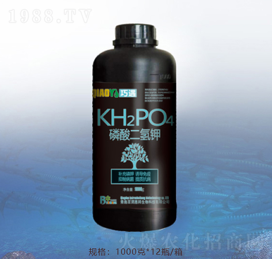 ��������-�ٝ��ݰ�