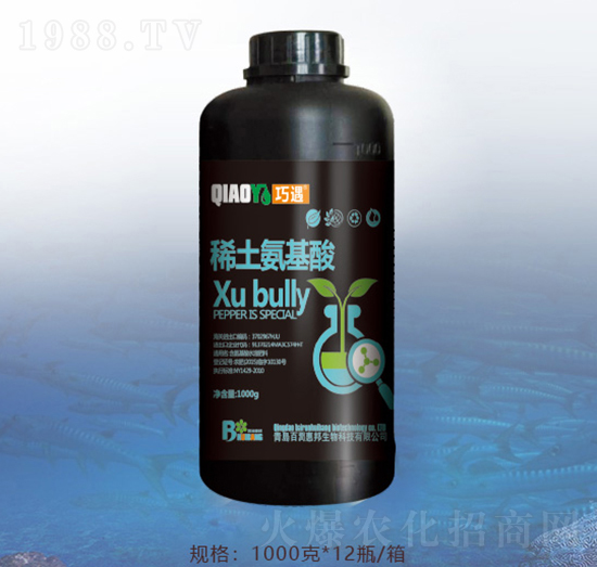 ϡ��������-�ٝ��ݰ�