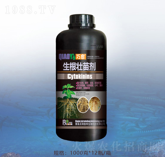 �������焩-�ٝ��ݰ�