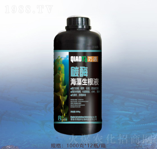 ̼ø��������Һ-�ٝ��ݰ�