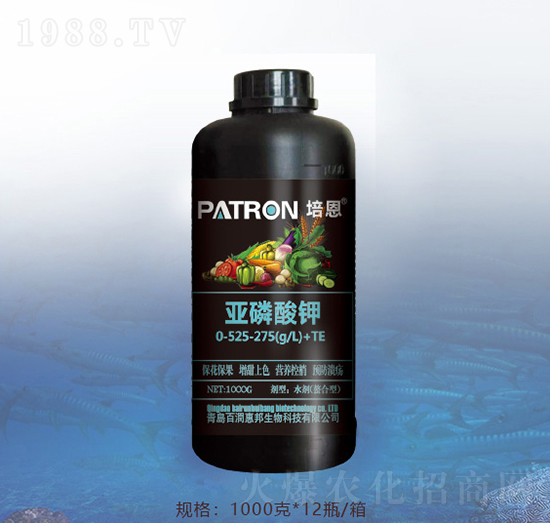 �������-�ٝ��ݰ�