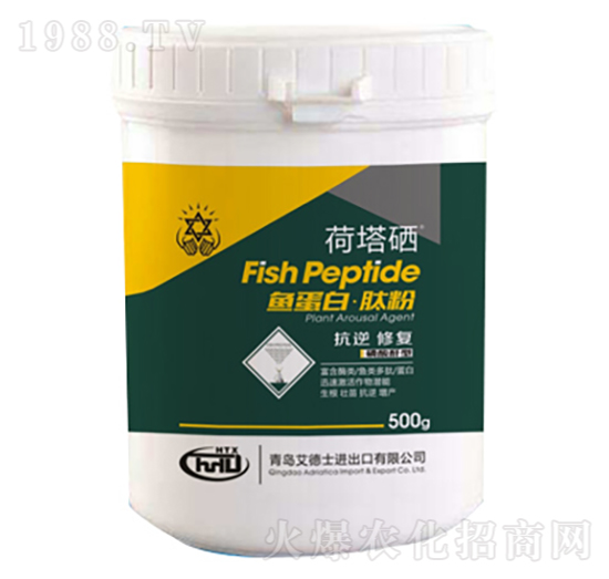 �~(y��)���ס��ķ�-����ʿ