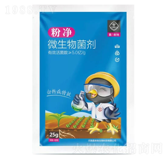 ΢�������-�ۃ�-ϲ����