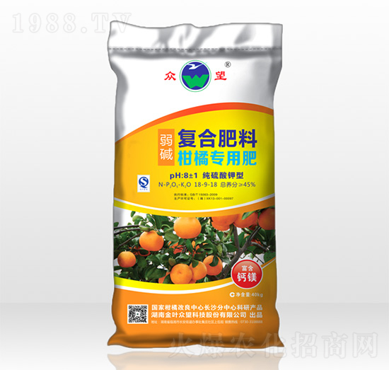 ���ٌ������A�ͺϷ���-����