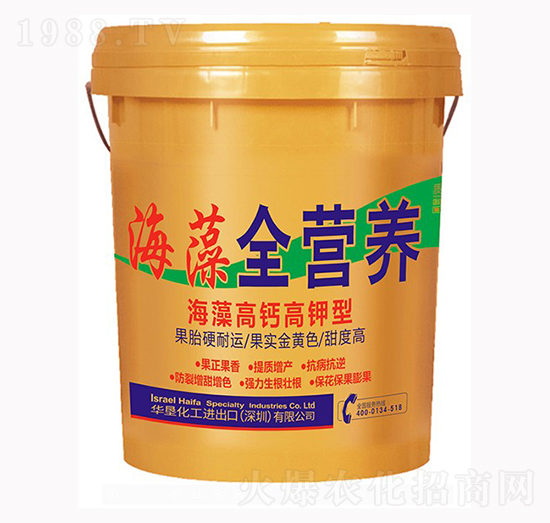 ������}����� ȫ�I(y��ng)�B(y��ng)Ͱ��