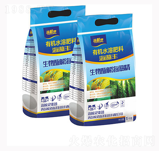 �����S����ø�⺣�徫-�L�`