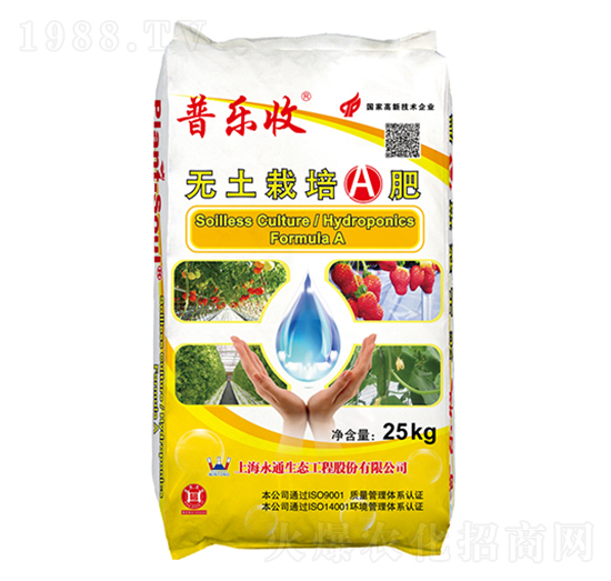 �o(w��)����������A��-�՘���-��ͨ���B(t��i)