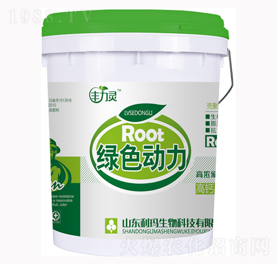 �S���`�Gɫ����-��������