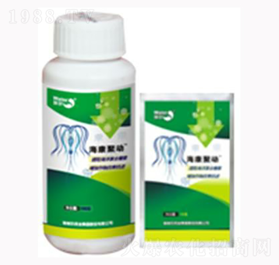 �����ۄ�-������