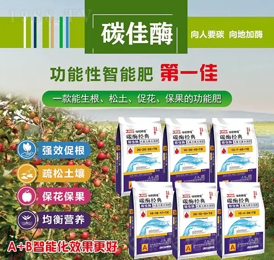 ̼��ø����Ԫ��ˮ�ܷ�-̼ø����-�ф�(chu��ng)�G��