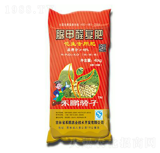 �����������ȩ�ͷ�14-16-16-���i���-���i�r�I(y��)