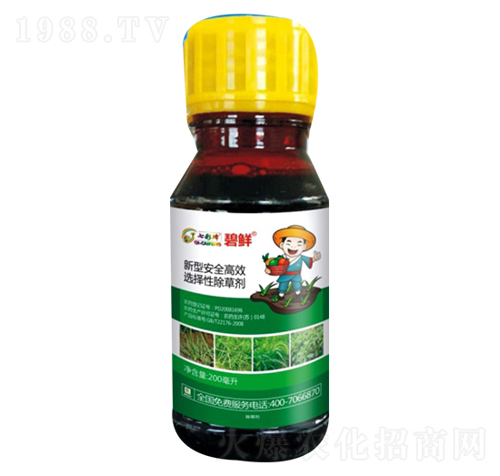 ���r��ѿ����]���݄���-������r(n��ng)