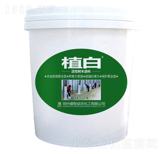 20����ֲ�׻��Ԙ�(sh��)ľͿ��-������r(n��ng)