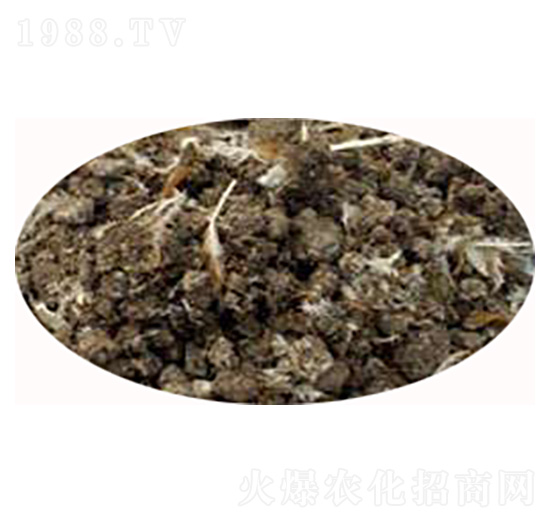 �������͸��u�S-��(qi��ng)�r(n��ng)�ʘI(y��)