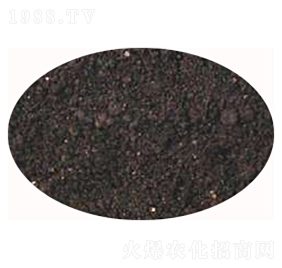 �����ЙC�ʣ��w����-���r(n��ng)�ʘI(y��)