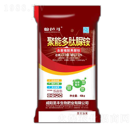 ���ܶ������@-ʥ�S