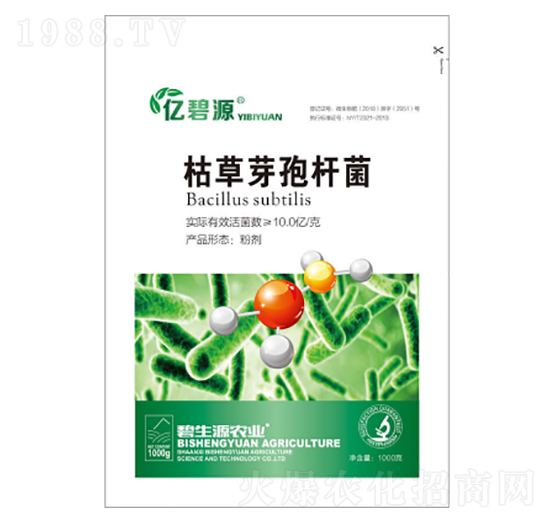 �ݲ�ѿ�ߗU��-�|�r�߿�