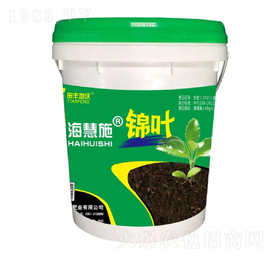 �\�~-����ʩ-���S����