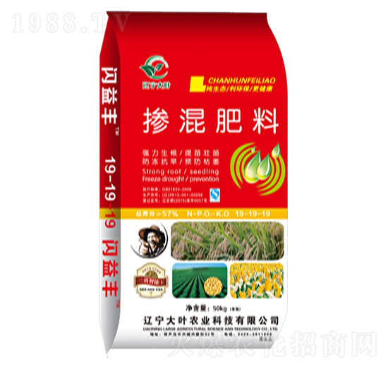 �������19-19-19-�W���S-���~�r(n��ng)�I(y��)