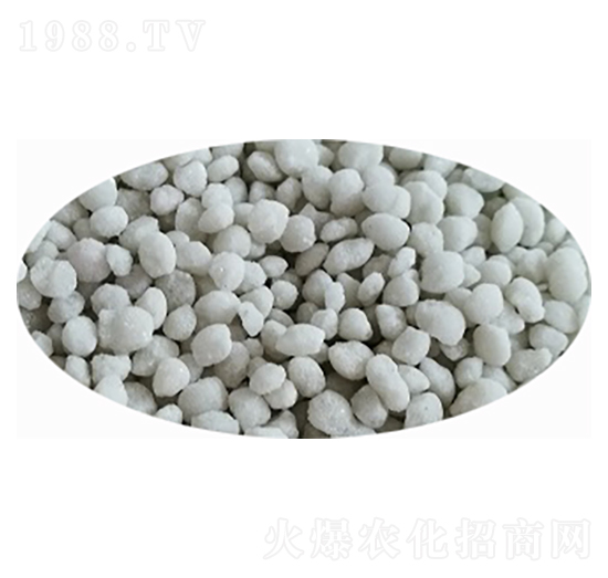 ���@����ɫ���{(l��n)ɫ��-���S�Ƽ�